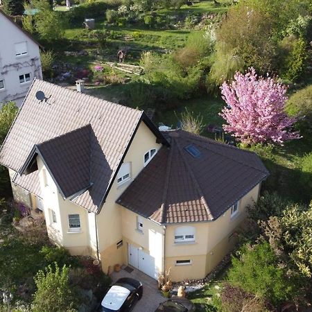 Illfurth Chez Olivier Et Josette Sur Mulhouse Sud 아파트 외부 사진