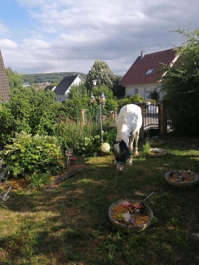 Illfurth Chez Olivier Et Josette Sur Mulhouse Sud 아파트 외부 사진