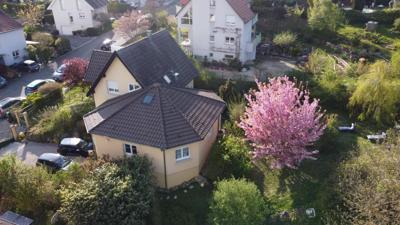 Illfurth Chez Olivier Et Josette Sur Mulhouse Sud 아파트 외부 사진