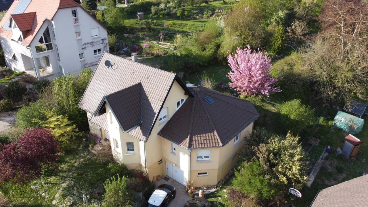 Illfurth Chez Olivier Et Josette Sur Mulhouse Sud 아파트 외부 사진