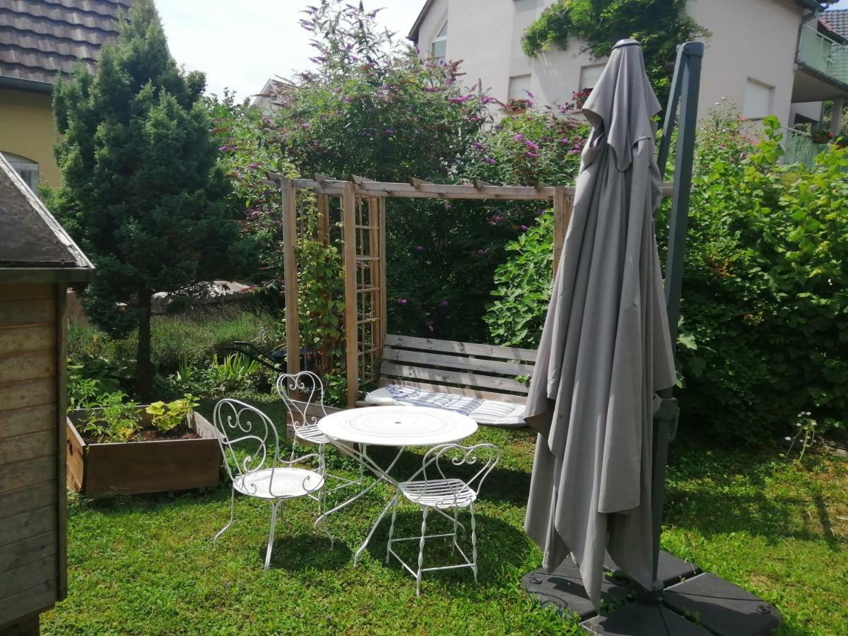 Illfurth Chez Olivier Et Josette Sur Mulhouse Sud 아파트 외부 사진