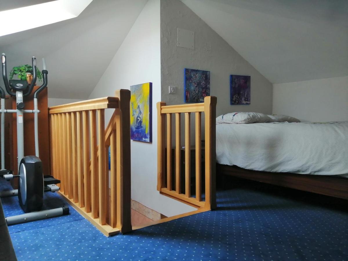 Illfurth Chez Olivier Et Josette Sur Mulhouse Sud 아파트 외부 사진